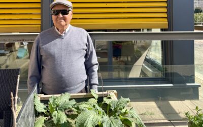 Envejecimiento activo: la base de un cuidado de calidad